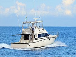 bertram fishing vallarta puerto passengers great yacht